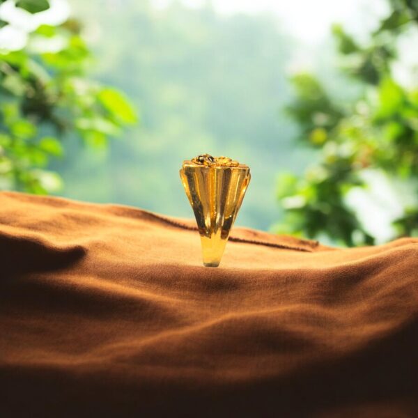 Golden Legacy - Image 3