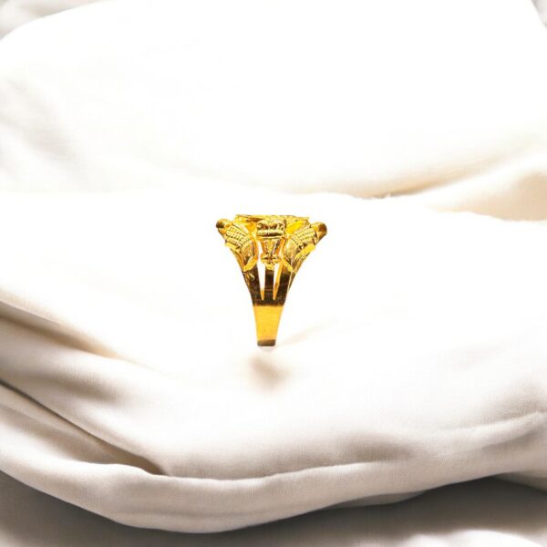 Golden Vanguard - Image 3