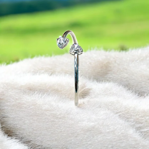 Silver Essence - Image 2