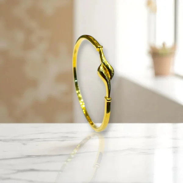 Rope Twist Gold Cover Bronze Bangles - Image 2